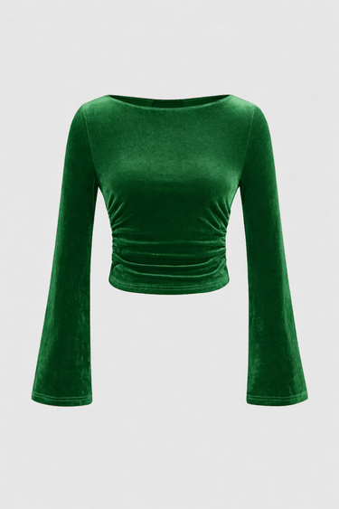 Parien Velvet Green Top
