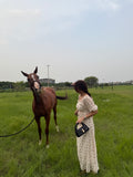 Parien Soft Whisper Dress