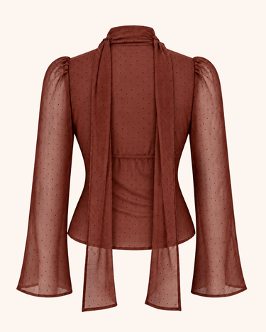 Parien Brown Sheer Polka Dot Blouse