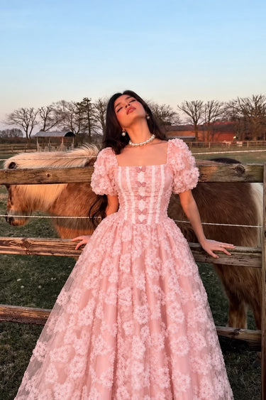 Parien Butterfly Blush Dress