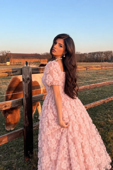 Parien Butterfly Blush Dress
