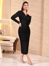 Parien Gigot Sleeve Mesh Bodycon Dress