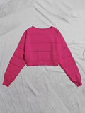 Parien Ribbed Knit Solid Crop Sweater