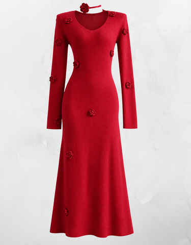 Parien 3D Floral Embellished Sweater Dress