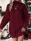 Plain High Neck Long Sleeve Minimalist Short Knit Sweater Dress