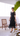 Square Neck Puff Sleeve Lace Overlay Dress