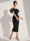 Off Shoulder Contrast Mesh Ruffle Trim Bodycon Dress( Clearance sale pre order